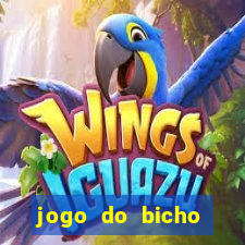 jogo do bicho banca ouro verde